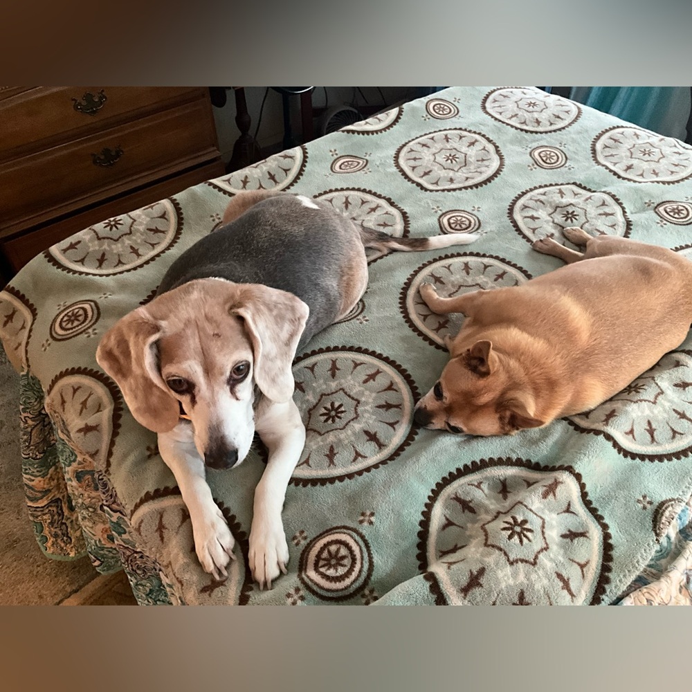 Mini and Charlie